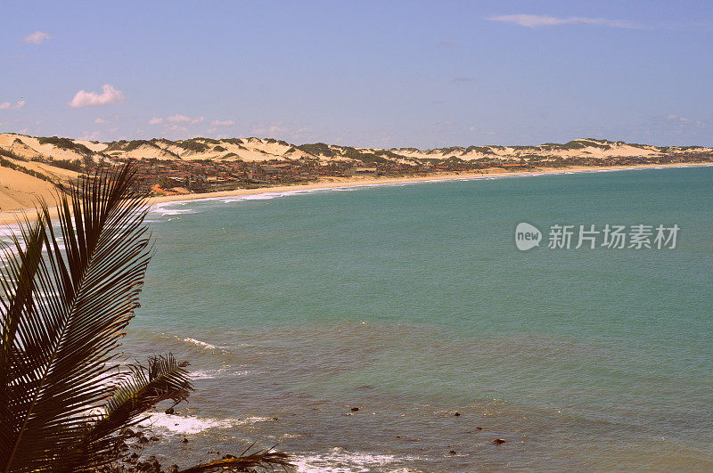 马滩。海豚湾-里约热内卢Grande do Norte -巴西